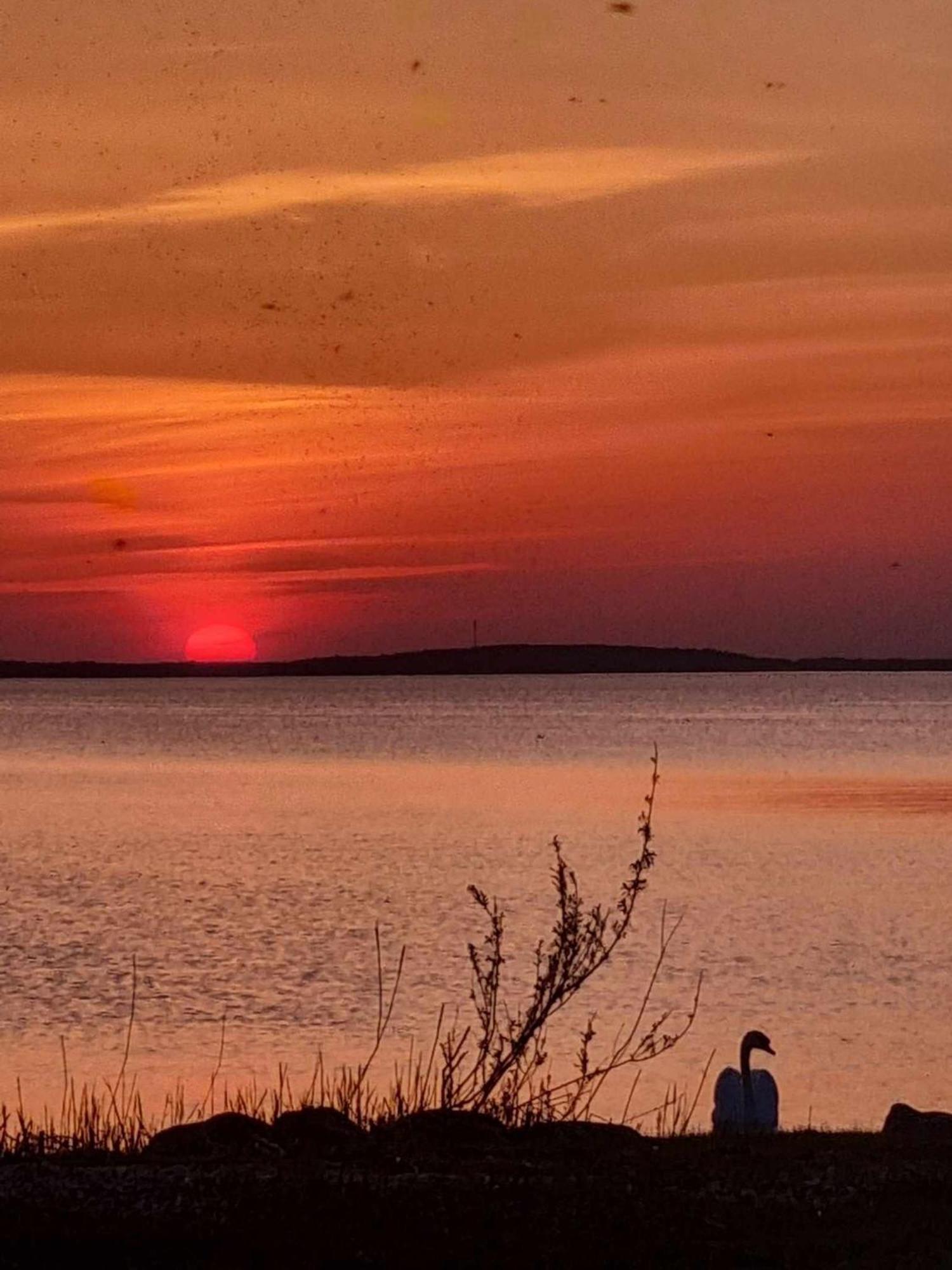 Sturmu Svyturys Bed & Breakfast Sturmai Dış mekan fotoğraf