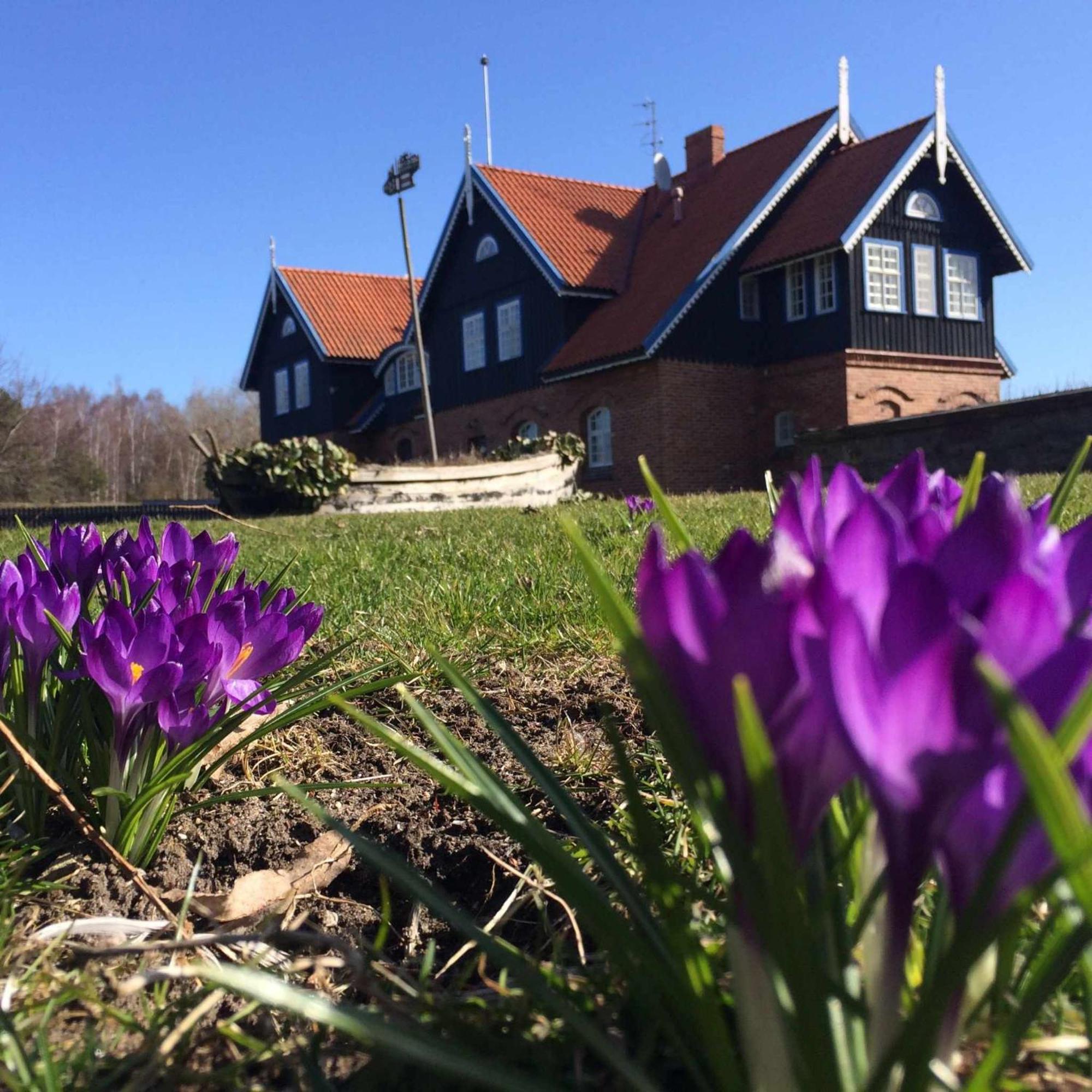 Sturmu Svyturys Bed & Breakfast Sturmai Dış mekan fotoğraf